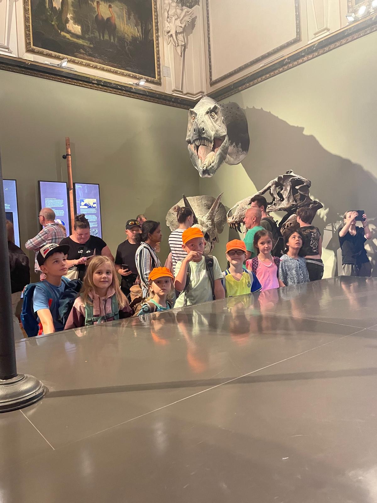 Eine Gruppe an Kindern sieht sich Skelette an